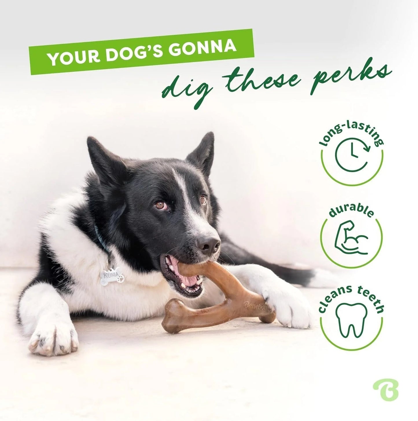 Benebone Wishbone Durable Toy ForDogs, For Heavy Chewers, Bacon Flavor