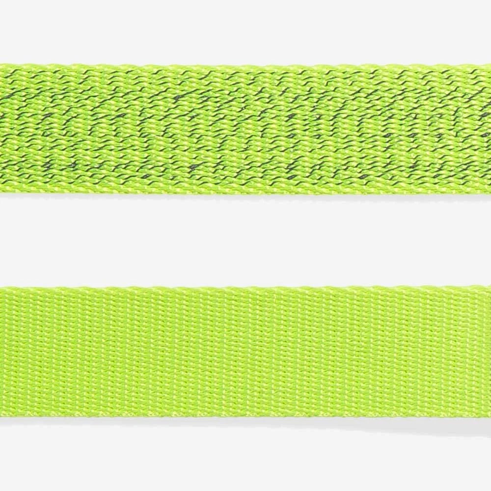 NOX Lumen | Cat Harness with Leash