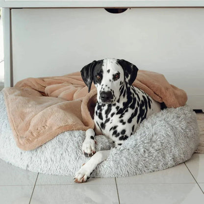 Double Weighted Luxury Blanket