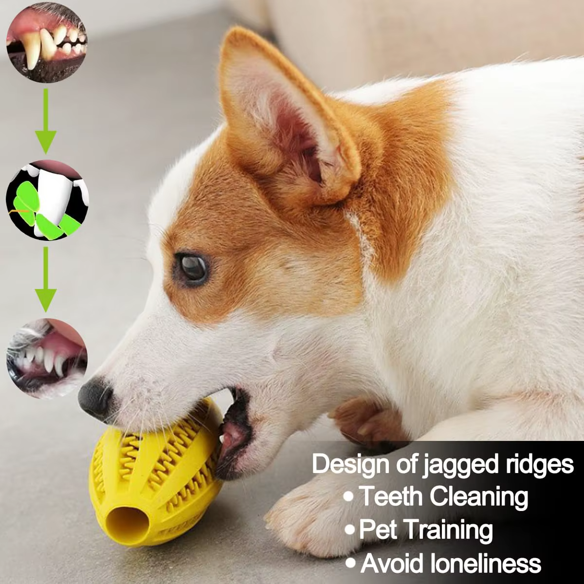 Rugby Ball Dog Chew Toy with Massage Bristles