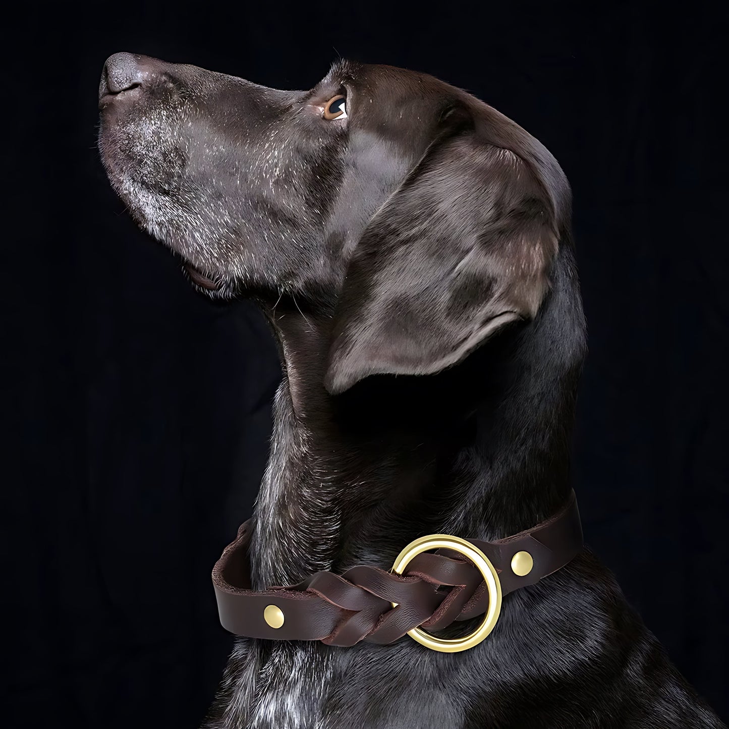 Genuine Leather Dog Collar & Lead Set – Braided Heavy Duty Leash