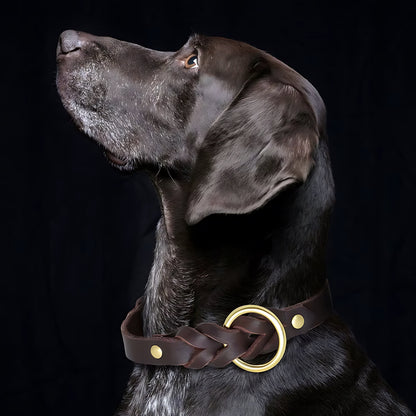 Genuine Leather Dog Collar & Lead Set – Braided Heavy Duty Leash