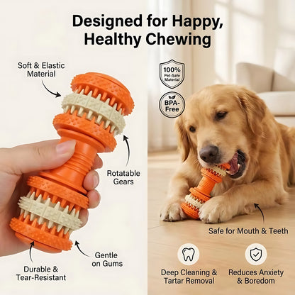 Dog Dental Chew Toy with Textured Cleaning Bristles