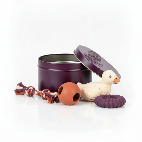 Open plum Welford Encore tin for dogs with rope tug, treat ball, plush duck and ring chew on a white background