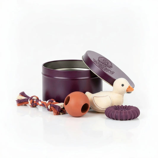 Open plum Welford Encore tin for dogs with rope tug, treat ball, plush duck and ring chew on a white background