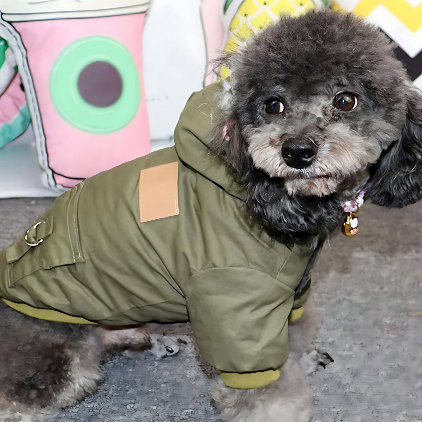 Winter Dog Hoodie Coat – Soft Warm Jacket for Small & Medium Dogs