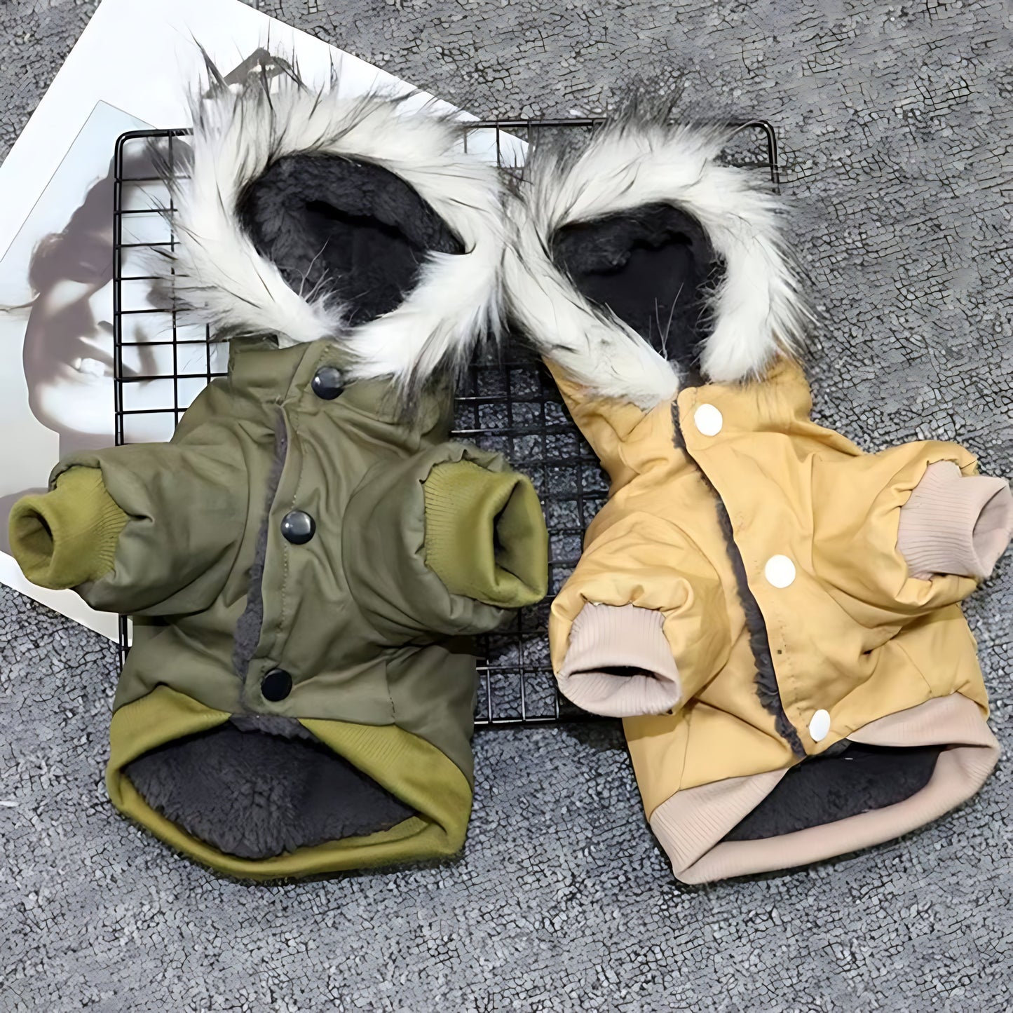 Winter Dog Hoodie Coat – Soft Warm Jacket for Small & Medium Dogs